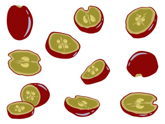 Red Grape Fruit Cut Illustration