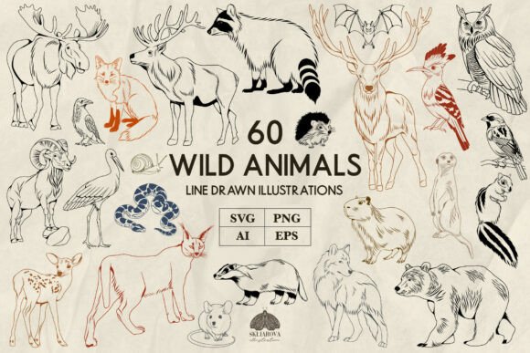 Wild Animals Line Art Svg Png